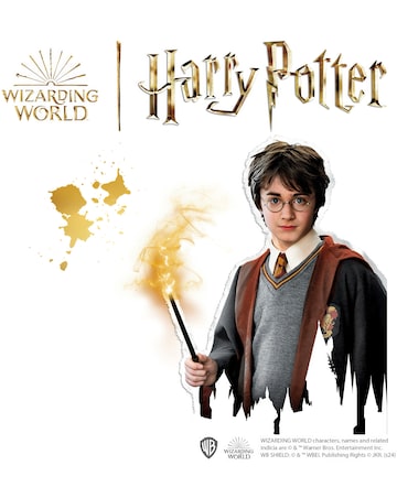 SES Harry Potter - Rub-on Rock Painting