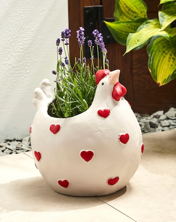 Hen Planter