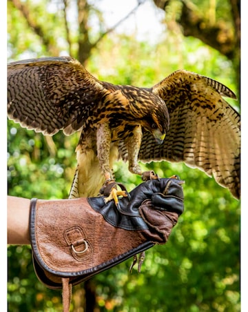 Animal Encounter - Experience Voucher