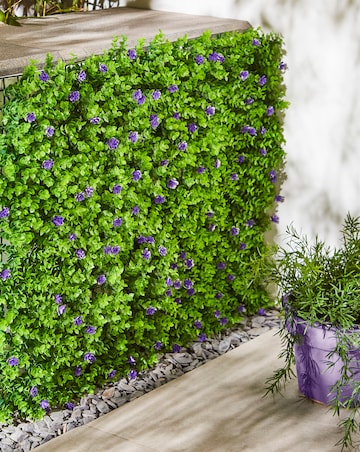 Violet Bloom Screening Panel 60 x 40 cm