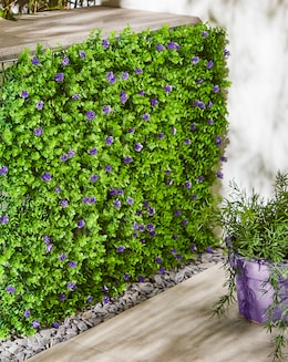 Violet Bloom Screening Panel 60 x 40 cm