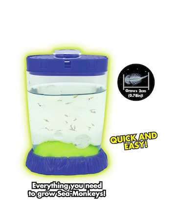 Sea Monkeys Magiquarium