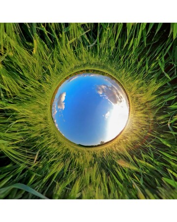 GoPro Euduro Battery (MAX360)