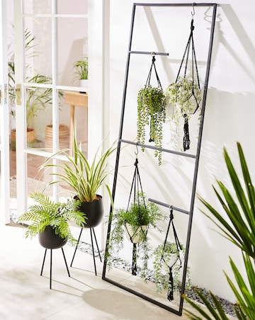 Gray & Osbourn No.01 Plant Stand
