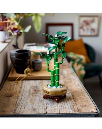 LEGO Botanicals Lucky Bamboo Indoor Plant Decor, Gift for Nature Lovers 10344