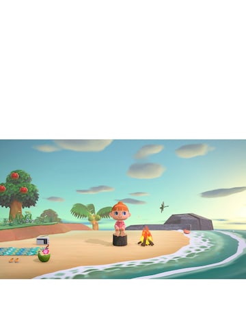 Animal Crossing New Horizons (Nintendo Switch)