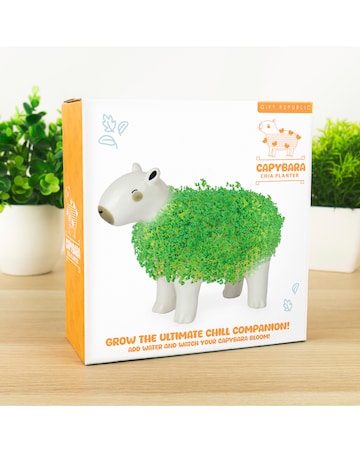 Capybara Chia Planter