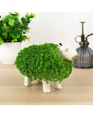 Capybara Chia Planter