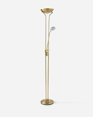 Dual Purpose Floor Lamp with Adjustable Reading Light