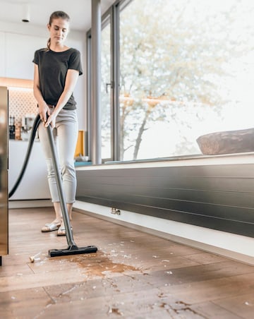 Karcher WD2 Plus Wet and Dry Cleaner