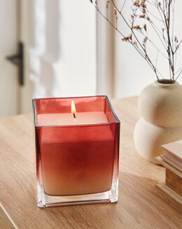 Pomegranate &amp; Cassis Scented Medium Candle