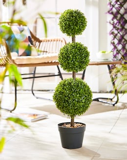 Trio Topiary Tree 82cm