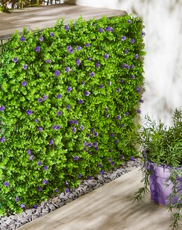 Violet Bloom Screening Panel 60 x 40 cm