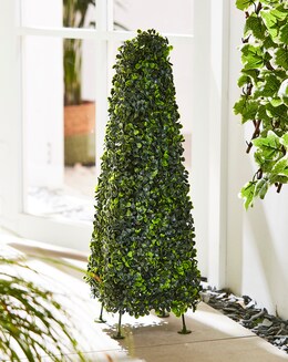 Topiary Obelisk 60cm