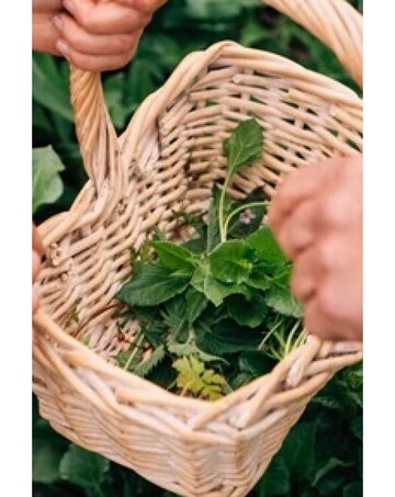 Totally Wild Foraging, Cookery and Lunch for Two E-Voucher - 18 Locations