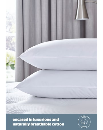 Silentnight Pure Cotton Pack of 2 Pillows