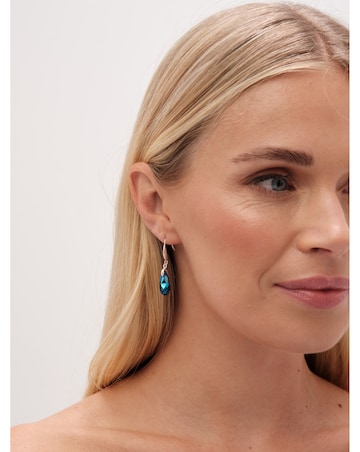 Jon Richard Radiance Collection Silver Plated Blue Fish Hook Drop Earrings