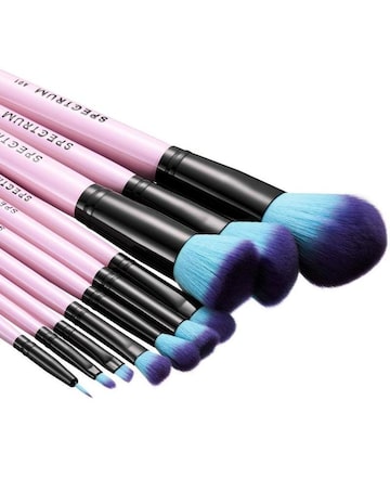 Spectrum 10 Piece Essential Makeup Brush Set