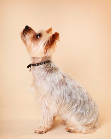 Photoshoot Choice E-Voucher