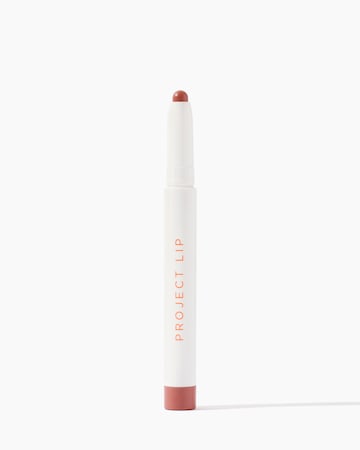 Project Lip Plump and Fill Lip Liner Touch