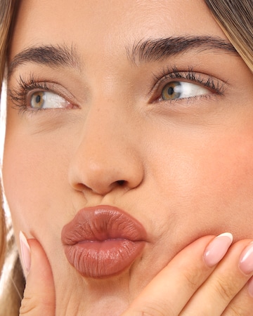 Project Lip Plump and Fill Lip Liner Nudie