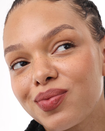 Project Lip Plump and Fill Lip Liner Wild