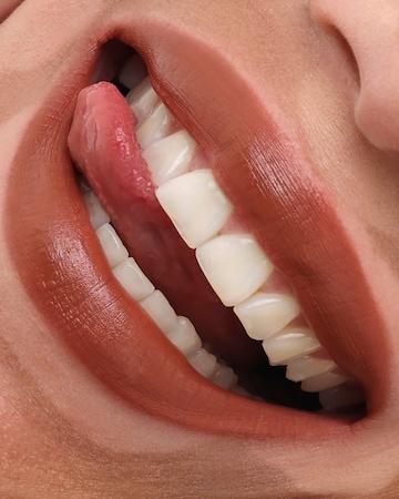 Project Lip Plump and Fill Lip Liner Crave