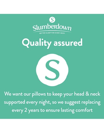 Slumberdown Pack of 2 V-Shaped Pillows