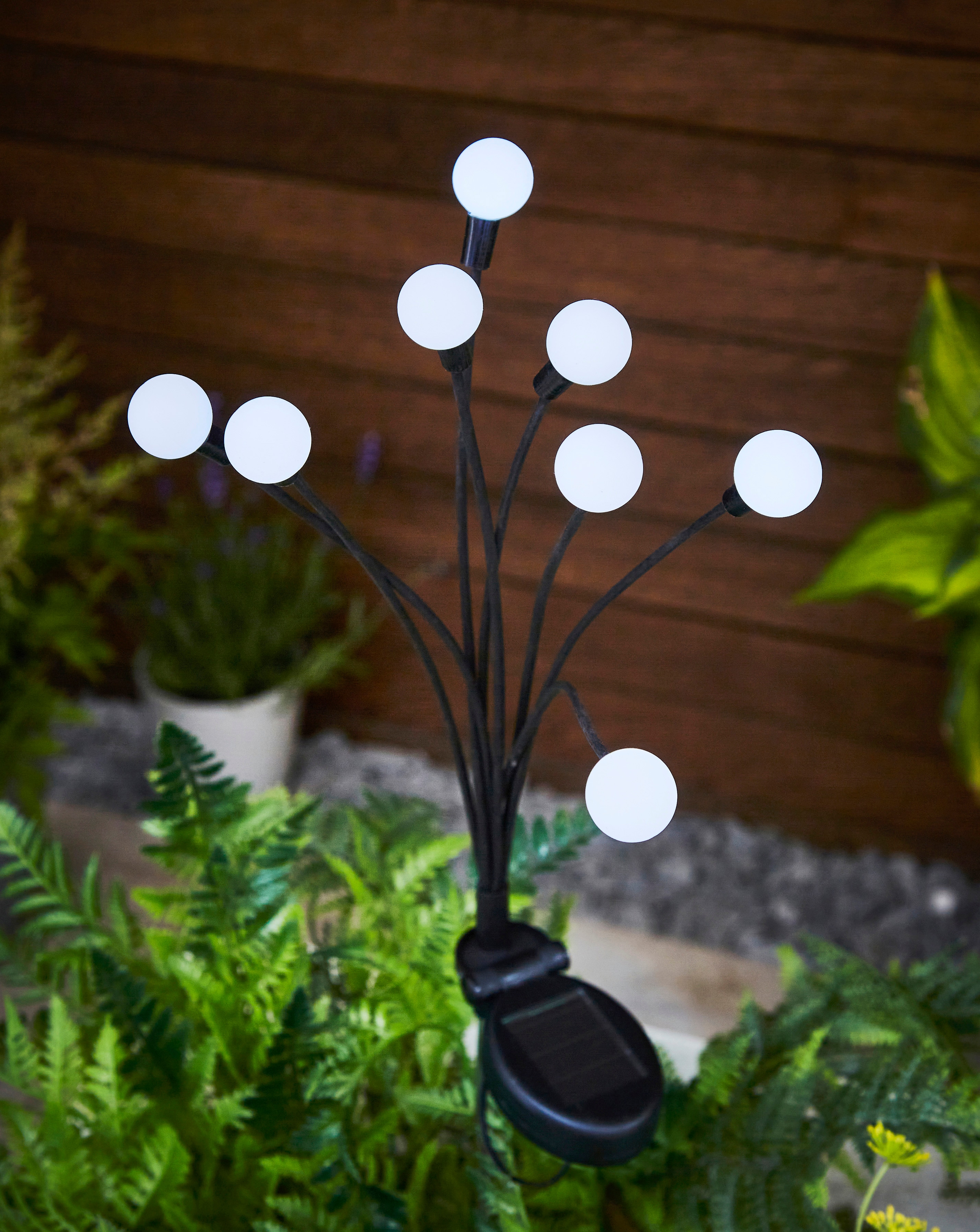 8-Stem GloGlobes - Cool White