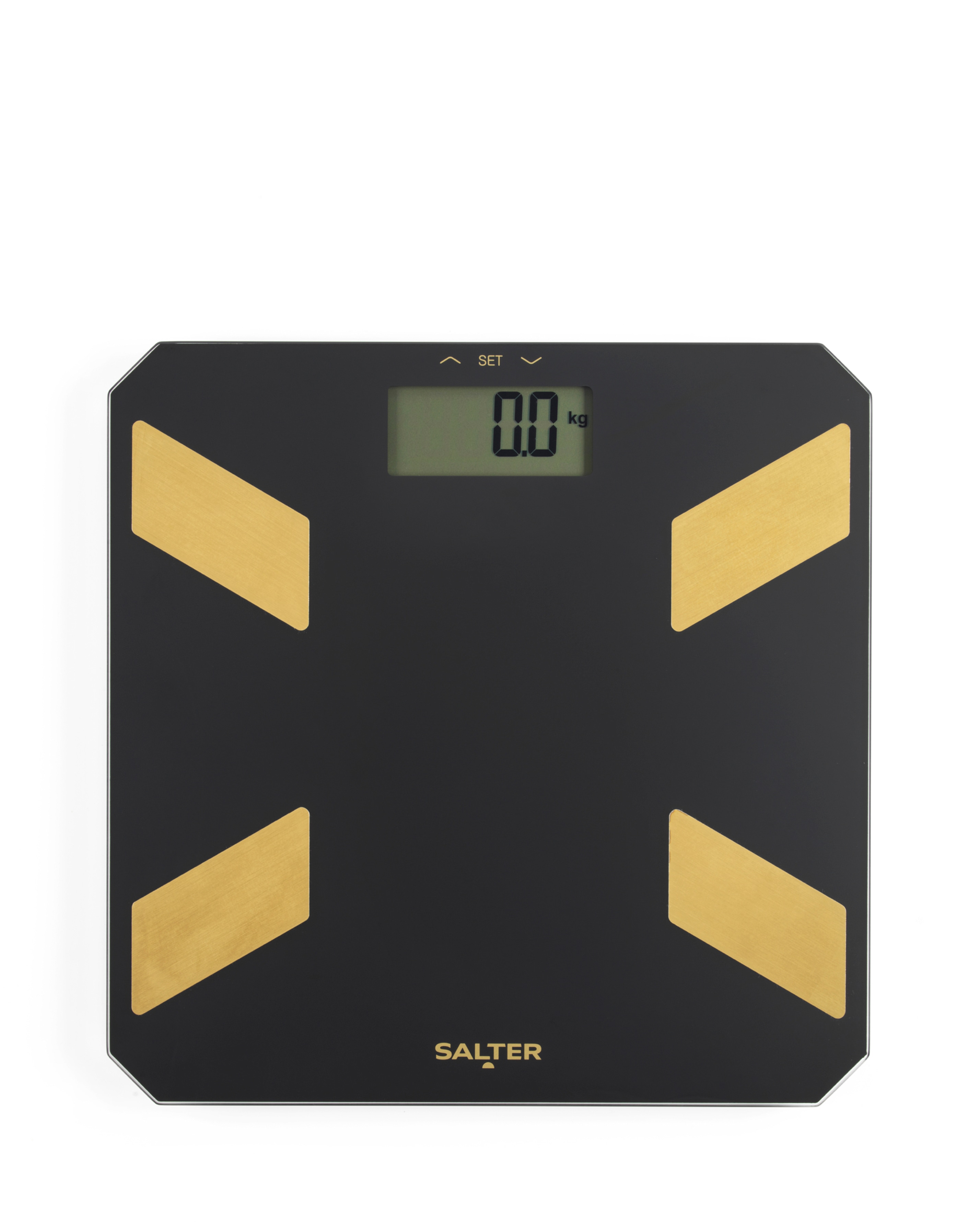 Salter Glass Analyser Scale