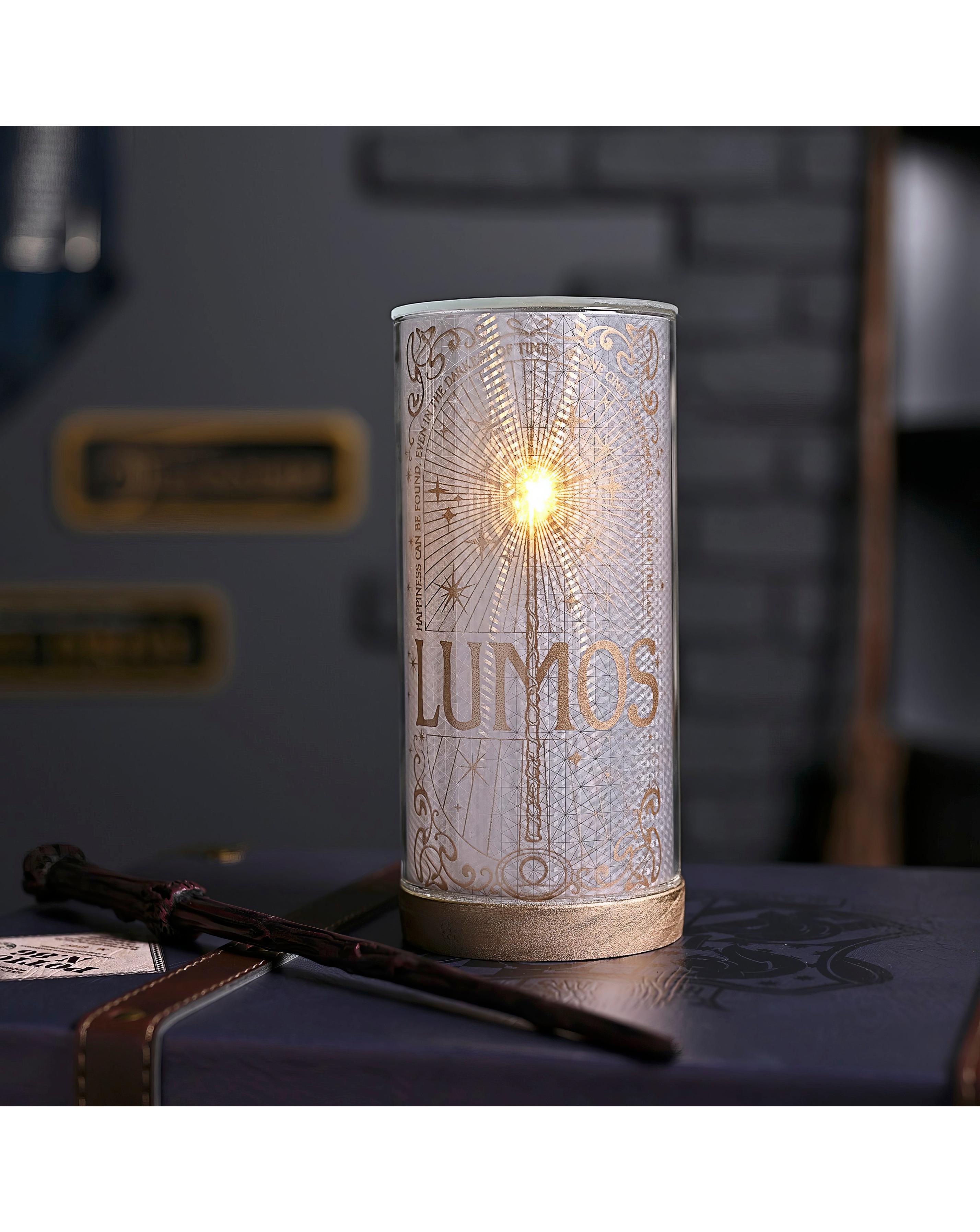 New In - Warner Bros Harry Potter Tube Light