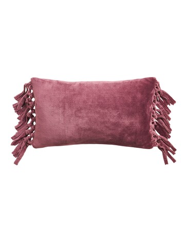 Silky Tassled Cushion Cover