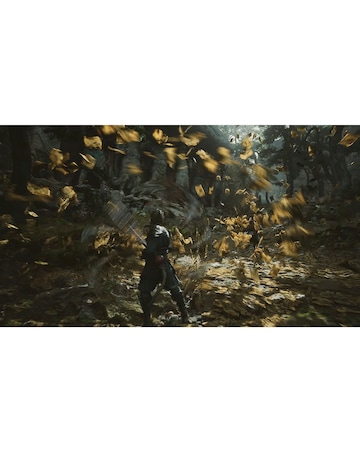 Black Myth: Wukong (PS5)