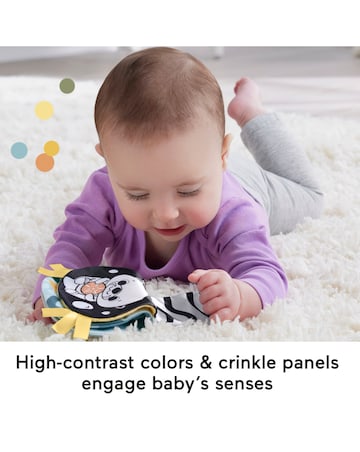 Fisher-Price 2-in-1 Rockin' Tummy Time Otter