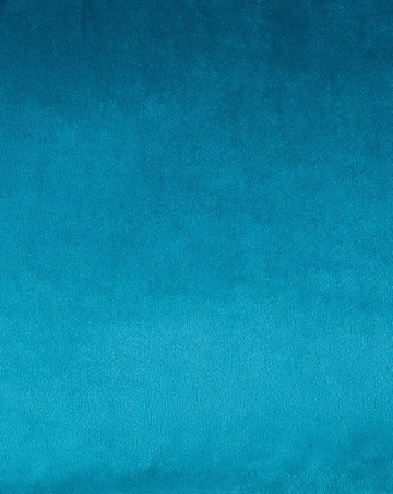 Chrissy Velvet Embroidered Boudoir Cushion