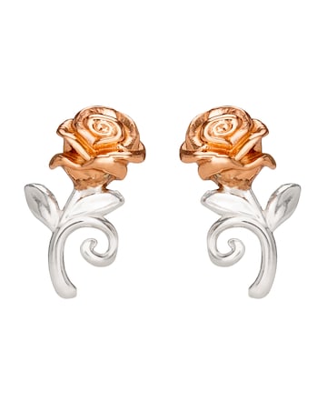 Beauty & The Beast Earrings
