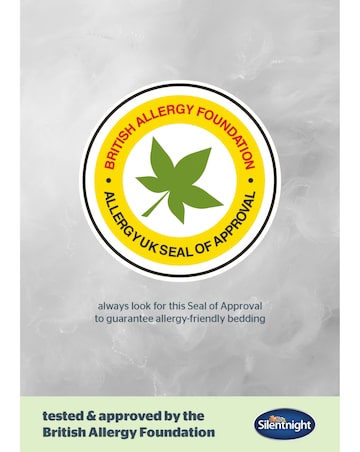 Silentnight Sink-In Anti-Allergy Memory Foam 2 Pack Pillow