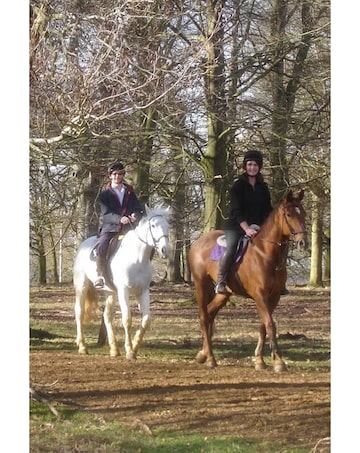 One Hour Horse Riding in Windsor Great Park E - Voucher