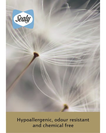 Sealy Dual Comfort Memory Foam Pillow